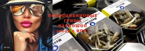 spice Елабуга